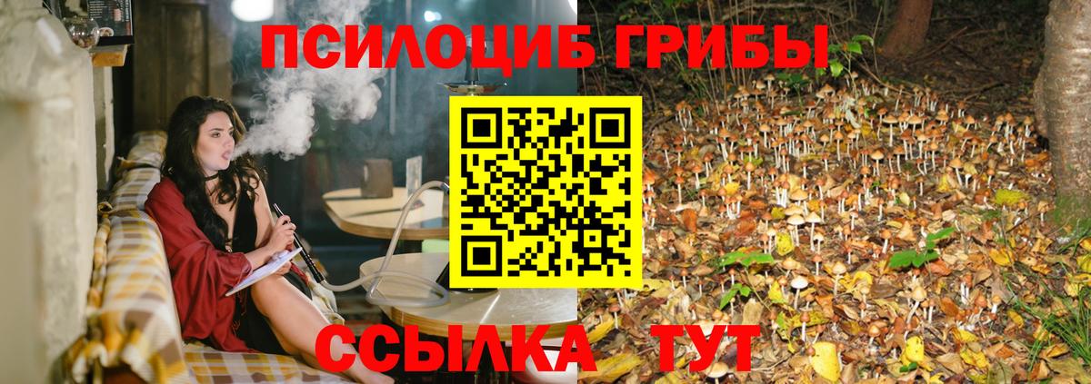 Галлюциногенные грибы MAGIC MUSHROOMS Чита